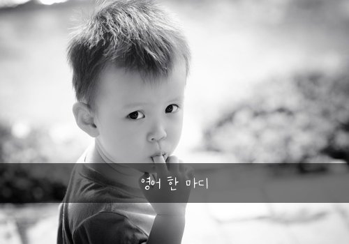 영어 한 마디