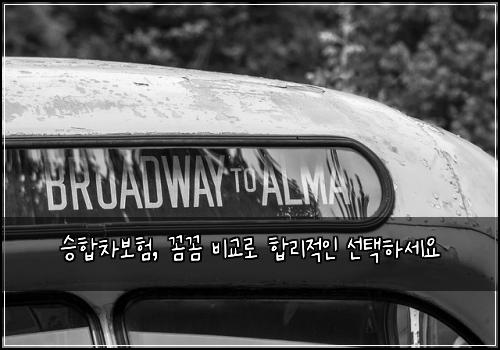 승합차보험, 꼼꼼 비교로 합리적인 선택하세요