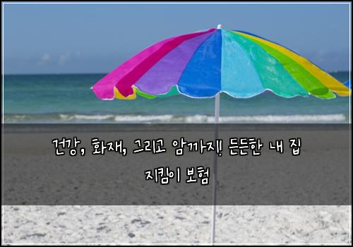  건강, 화재, 그리고 암까지! 든든한 내 집 지킴이 보험