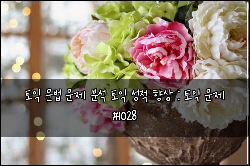 토익 문법 문제 분석 토익 성적 향상 : 토익 문제 #1028