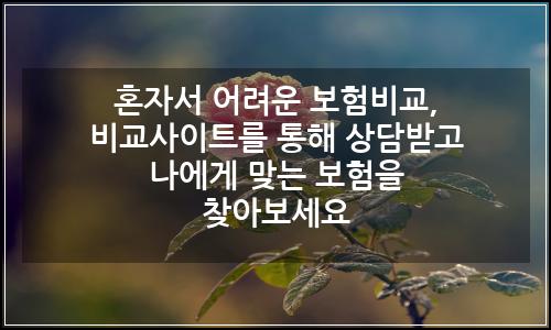 오늘의 이미지