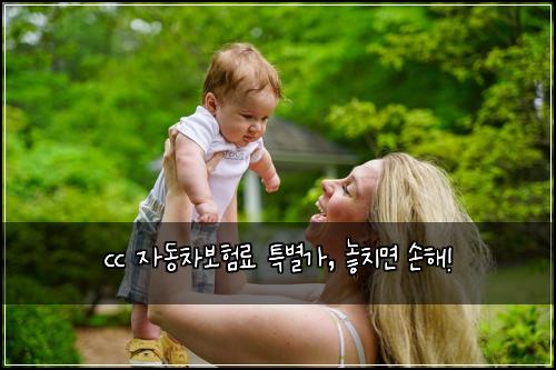 cc 자동차보험료 특별가, 놓치면 손해!