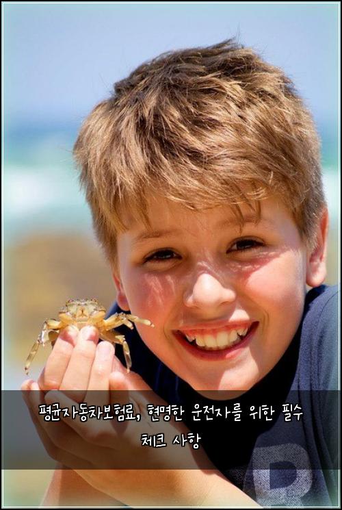 평균자동차보험료, 현명한 운전자를 위한 필수 체크 사항