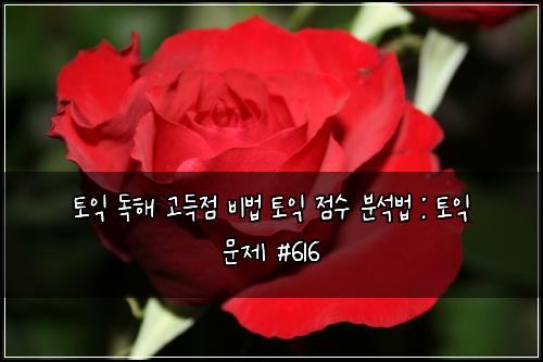 토익 독해 고득점 비법 토익 점수 분석법 : 토익 문제 #616