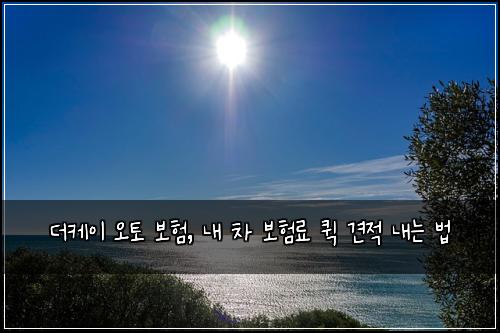더케이 오토 보험, 내 차 보험료 퀵 견적 내는 법