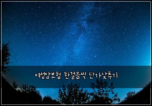 여성암보험 한걸음씩  단가낮추기