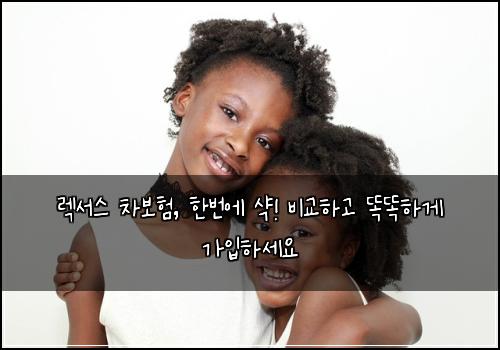  렉서스 차보험, 한번에 샥! 비교하고 똑똑하게 가입하세요