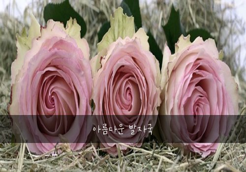 아름다운 발자국