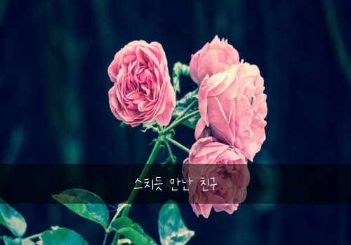 스치듯 만난 친구