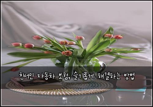 친서민 자동차 보험, 슬기롭게 해결하는 방법