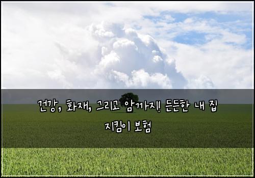  건강, 화재, 그리고 암까지! 든든한 내 집 지킴이 보험