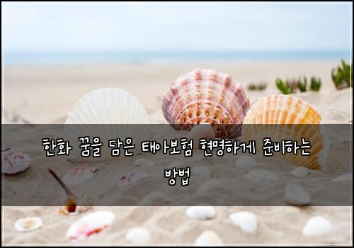 한화 꿈을 담은 태아보험 현명하게 준비하는 방법