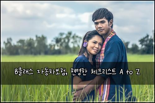 B클래스 자동차보험, 현명한 체크리스트 A to Z