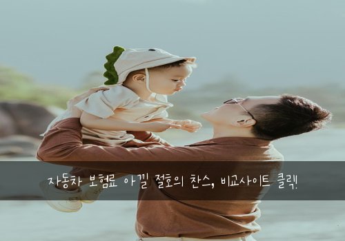 자동차 보험료 아낄 절호의 찬스, 비교사이트 클릭!