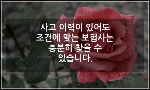 오늘의 이미지