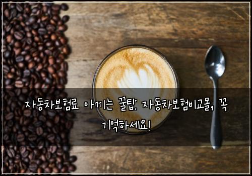 자동차보험료 아끼는 꿀팁: 자동차보험비교몰, 꼭 기억하세요!