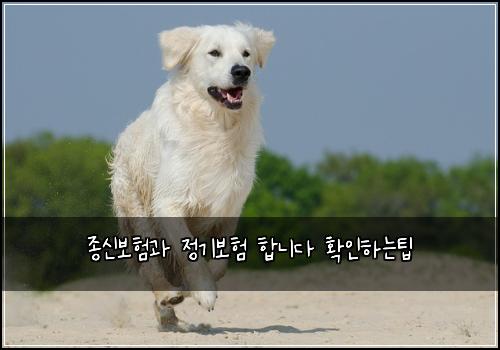 ์ข
์ ๋ณดํ๊ณผ ์ ๊ธฐ๋ณดํ ํฉ๋๋ค ํ์ธํ๋ํ