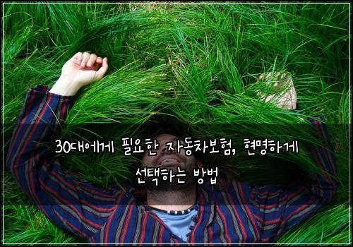30대에게 필요한 자동차보험, 현명하게 선택하는 방법
