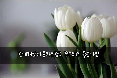 현대해상자동차보험료 필수체크 좋은가입