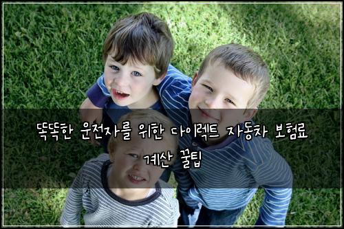  똑똑한 운전자를 위한 다이렉트 자동차 보험료 계산 꿀팁