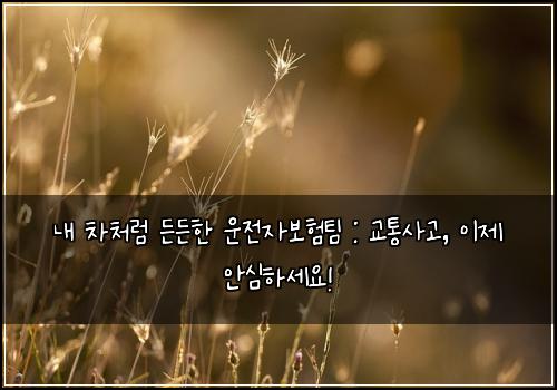  내 차처럼 든든한 운전자보험팀 : 교통사고, 이제 안심하세요!
