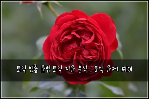 토익 빈출 문법 토익 지문 분석 : 토익 문제 #1101
