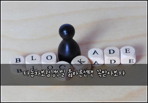 ์๋์ฐจ๋ณดํ๊ฐฑ์ ์ผ ์ณ๋ฐ๋ฅธ์ ํ ๊ผญ๋ฐ์๋ณด์