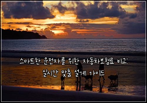  스마트한 운전자를 위한 자동차보험료 비교: 실시간 맞춤 설계 가이드