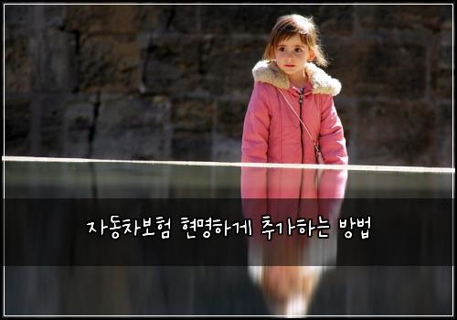 자동차보험 현명하게 추가하는 방법
