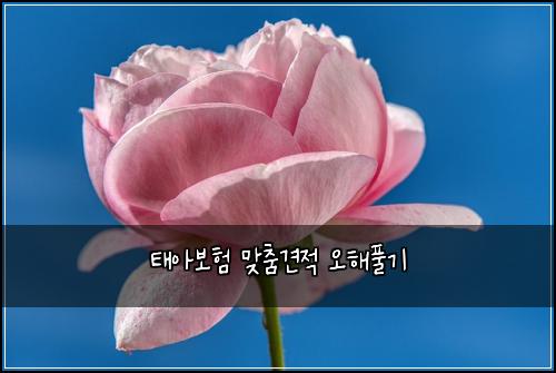 ํ์๋ณดํ ๋ง์ถค๊ฒฌ์ ์คํดํ๊ธฐ