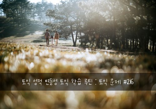 토익 성적 변동성 토익 학습 루틴 : 토익 문제 #216