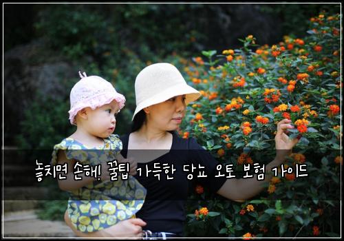  놓치면 손해! 꿀팁 가득한 당뇨 오토 보험 가이드