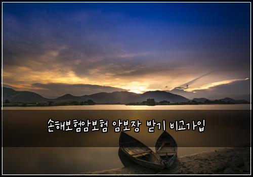 손해보험암보험 암보장 받기 비교가입