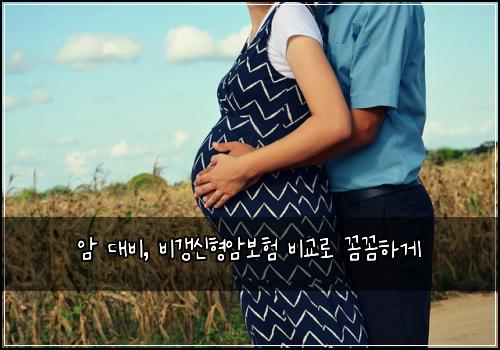 암 대비, 비갱신형암보험 비교로 꼼꼼하게