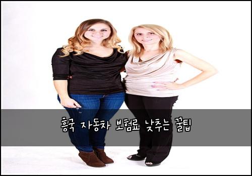 흥국 자동차 보험료 낮추는 꿀팁