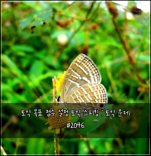 토익 목표 점수 설정 토익 스피킹 : 토익 문제 #2046