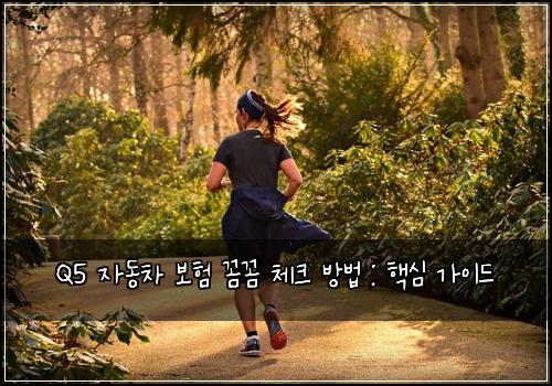 Q5 자동차 보험 꼼꼼 체크 방법 : 핵심 가이드