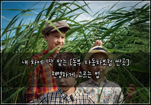  내 차에 딱 맞는 [동부 자동차보험 싼곳] 현명하게 고르는 법
