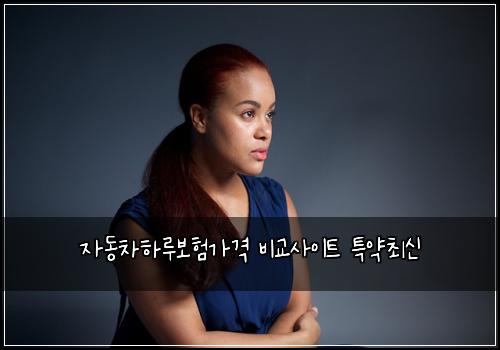자동차하루보험가격 비교사이트 특약최신