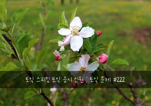 토익 스피킹 토익 응시 인원 : 토익 문제 #222