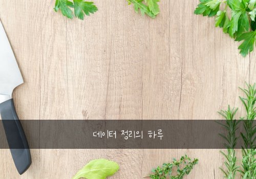 데이터 정리의 하루