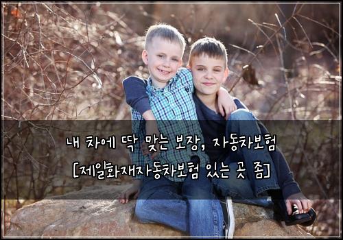  내 차에 딱 맞는 보장, 자동차보험 [제일화재자동차보험 있는 곳 좀]