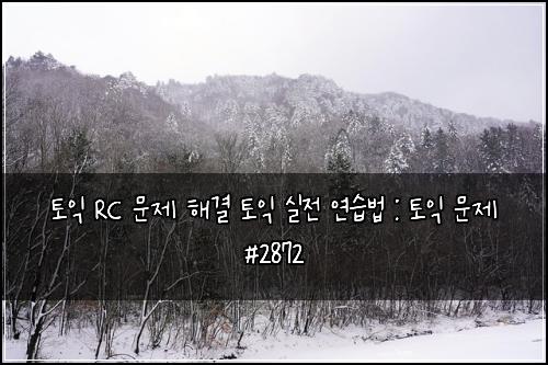 토익 RC 문제 해결 토익 실전 연습법 : 토익 문제 #2872