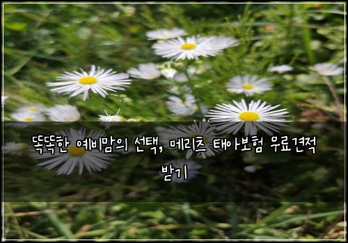  똑똑한 예비맘의 선택, 메리츠 태아보험 무료견적 받기