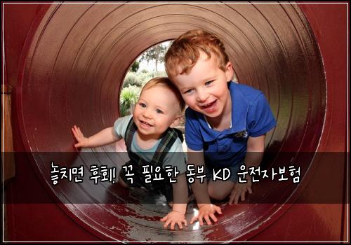  놓치면 후회! 꼭 필요한 동부 KD 운전자보험