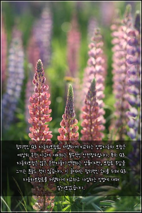  합리적인 Q3 자동차보험료, 저렴하게 비교하는 방법

자동차 보험은 예상치 못한 사고에 대비하는 필수적인 안전장치입니다. 특히 Q3 자동차보험은 많은 운전자들이 선택하는 상품이지만, 보험료 부담을 느끼는 분들도 적지 않습니다. 이 글에서는 합리적인 소비를 위해 Q3 자동차보험료를 저렴하게 비교하고 가입하는 방법에 대해 알아보겠습니다.