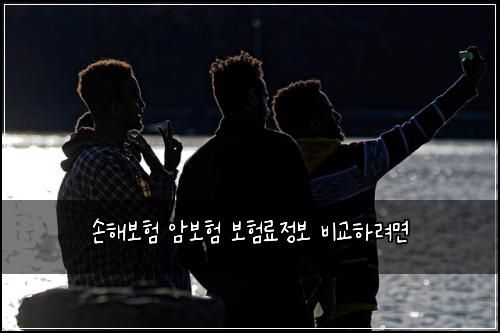 손해보험 암보험 보험료정보 비교하려면