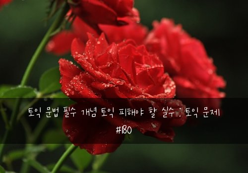 토익 문법 필수 개념 토익 피해야 할 실수 : 토익 문제 #180