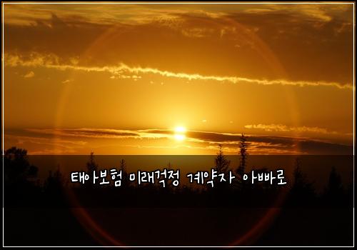 ํ์๋ณดํ ๋ฏธ๋๊ฑฑ์ ๊ณ์ฝ์ ์๋น ๋ก