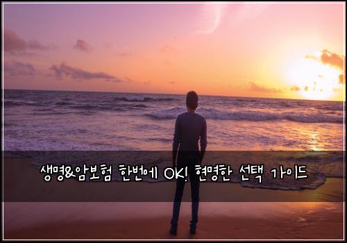 생명&암보험 한번에 OK! 현명한 선택 가이드